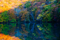 紅葉の蔦沼
